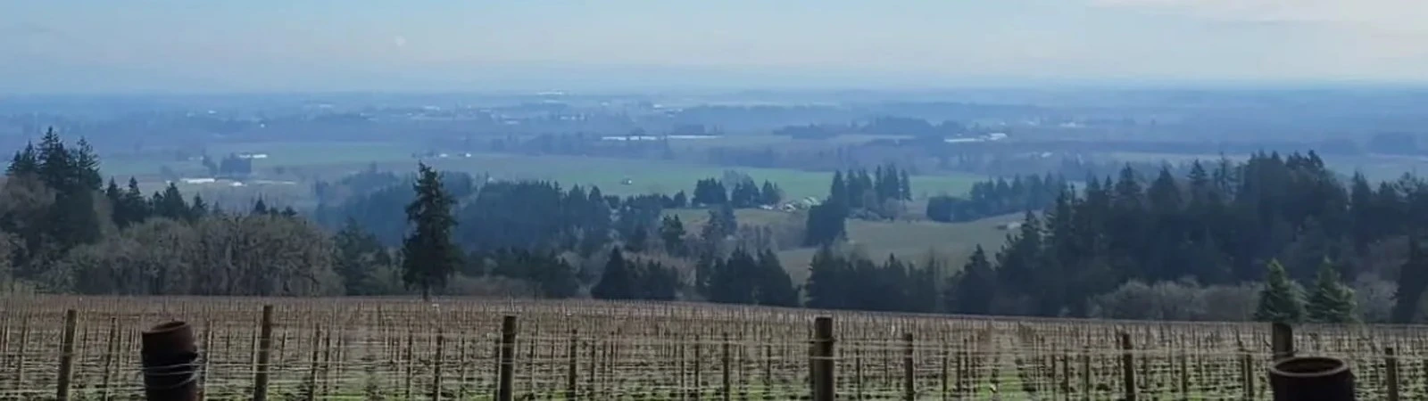 Wide vineyard landscape and rolling hills in Oregon’s Willamette Valley wine country.