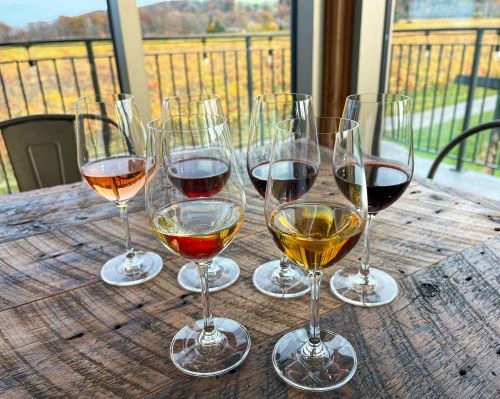 A tasting flight with vineyard views.